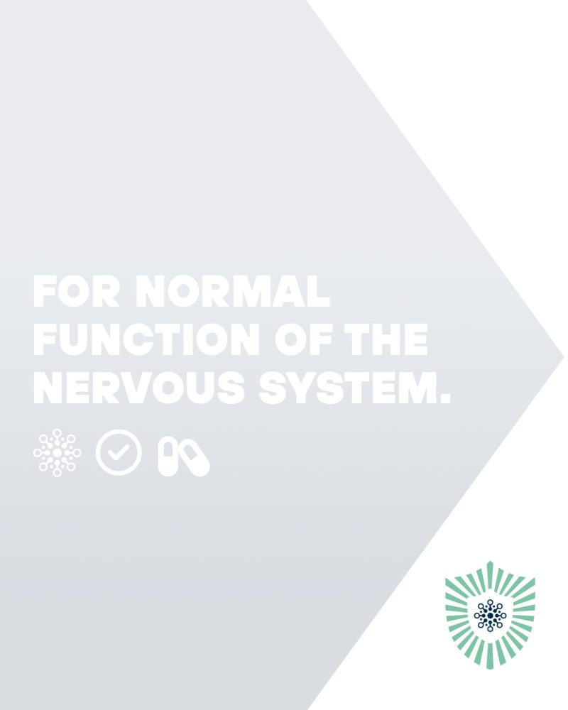 Neuro GUARD® - For normal function of the nervous system*